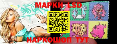 индика Заводоуковск
