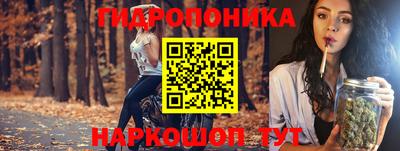 индика Заводоуковск