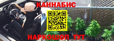 индика Заводоуковск