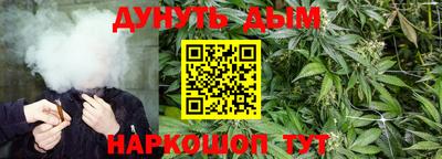 индика Заводоуковск