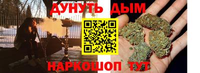 индика Заводоуковск