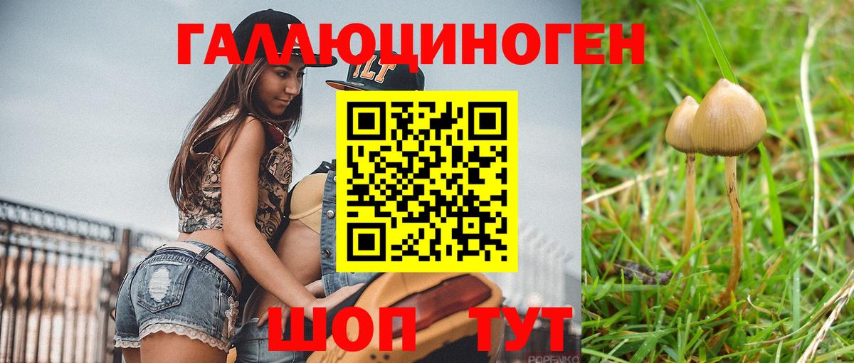 Ливны  Галлюциногенные грибы GOLDEN TEACHER  Вход с VPN 